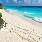 **Barbados Beach Scene:** "Crane Beach, Barbados. White sand, turquoise water, gentle waves, sunny day. Relaxing tropical paradise. Serene, vibrant colors, high resolution."